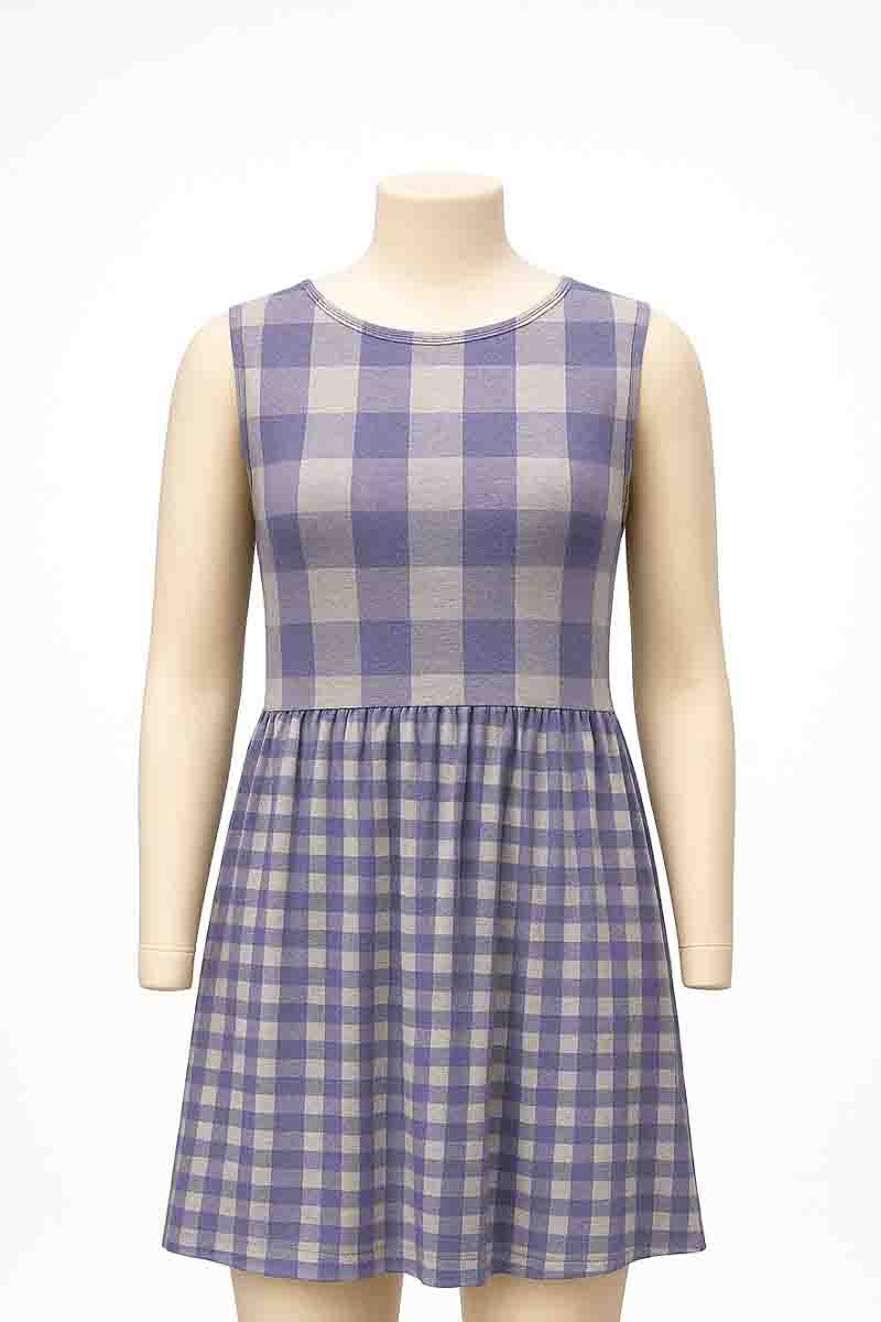 Grey & Denim Blue Sleeveless Check Dress